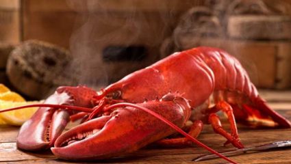 Εστιάτορας δίνει μαριχουάνα στους αστακούς πριν τους μαγειρέψει Εστιάτορας δίνει μαριχουάνα στους αστακούς πριν τους μαγειρέψει