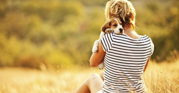 Με αυτούς τους τρόπους ο σκύλος μπορεί να βελτιώσει την ποιότητα ζωής του ανθρώπου