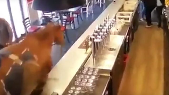 Aπίστευτο βίντεο: Άλογο έκανε... ντου σε μπαρ! (ΒΙΝΤΕΟ)