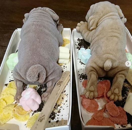 Ανατριχιαστικό: Αυτά τα χαριτωμένα σκυλάκια είναι παγωτά (ΒΙΝΤΕΟ)