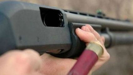 Επικήρυξαν με 2.000 ευρώ αυτόν που σκότωσε την έγκυο σκυλίτσα στα Χανιά Επικήρυξαν με 2.000 ευρώ αυτόν που σκότωσε την έγκυο σκυλίτσα στα Χανιά