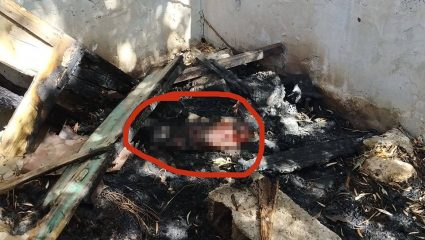 Κτηνωδία στην Κρήτη: Έκαψαν ζωντανό σκυλί στο σπιτάκι του! Κτηνωδία στην Κρήτη: Έκαψαν ζωντανό σκυλί στο σπιτάκι του!