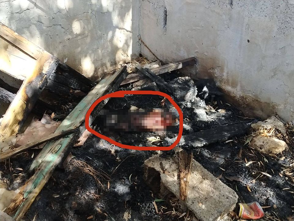 Κτηνωδία στην Κρήτη: Έκαψαν ζωντανό σκυλί στο σπιτάκι του!