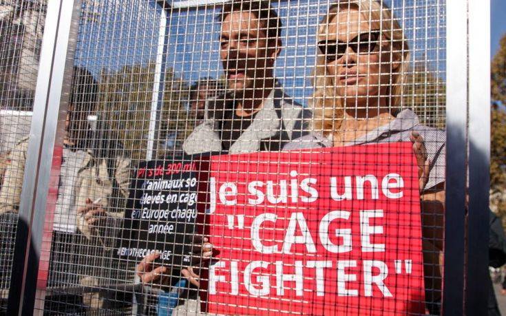 Διαμαρτυρήθηκε σε... κλουβί για τον βασανισμό των ζώων η Πάμελα Άντερσον!
