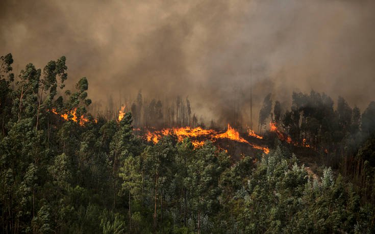 Τρίκαλα: Κάηκε ζωντανός στο περιβόλι του