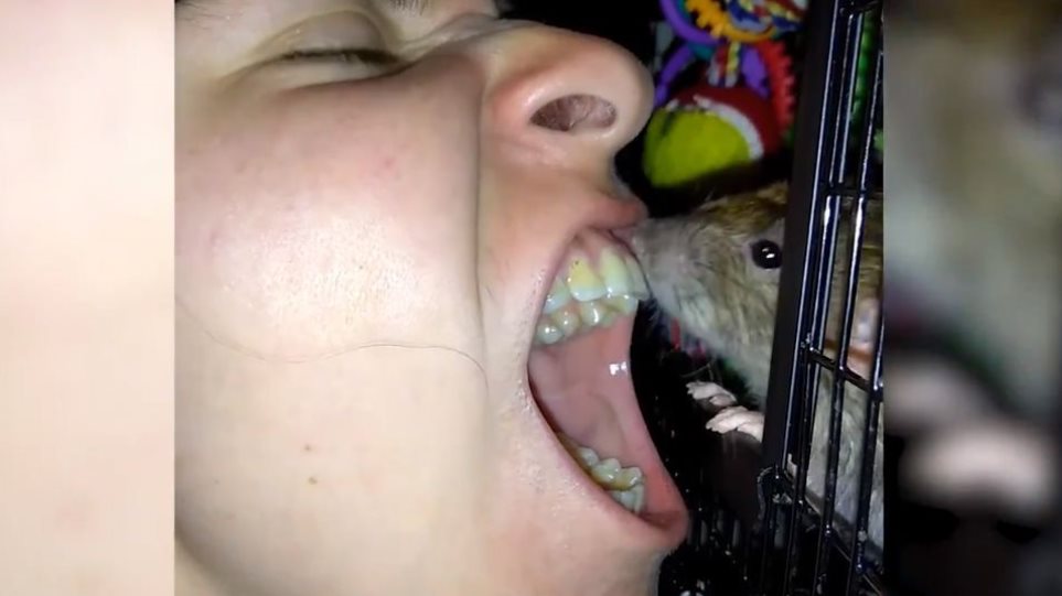Το αηδιαστικό βίντεο της ημέρας: γυναίκα χρησιμοποιεί έναν αρουραίο για οδοντόβουρτσα!