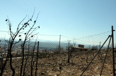 Αντιμέτωπος με ποινή φυλάκισης ο Σκοπιανός δημοσιογράφος που πανηγύριζε για την τραγωδία στο Μάτι