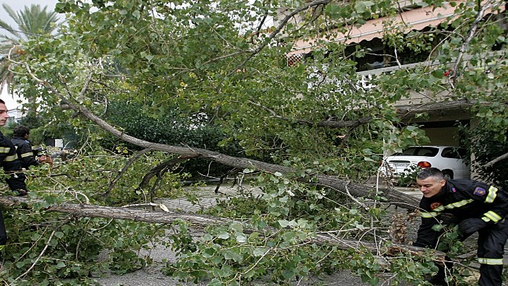 Πτώσεις δέντρων από τους ισχυρούς ανέμους στη Θεσσαλονίκη