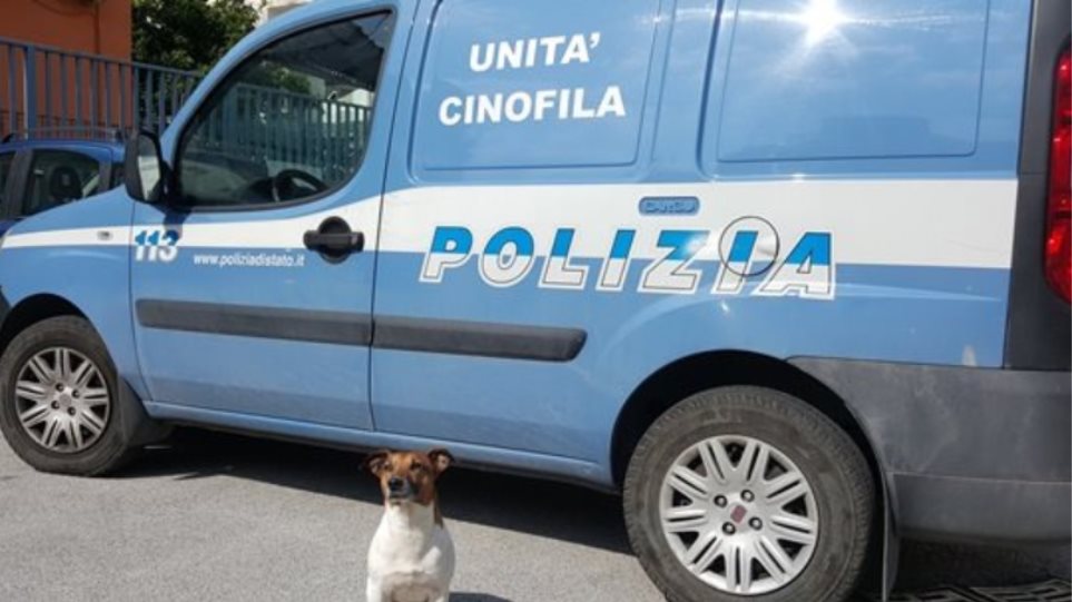 Γιατί η ιταλική μαφία επικήρυξε με 5.000 ευρώ έναν αστυνομικό σκύλο