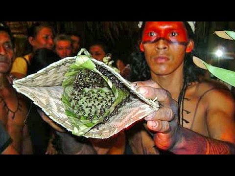 Το οδυνηρό έθιμο «ενηλικίωσης» των αγοριών στον Αμαζόνιο
