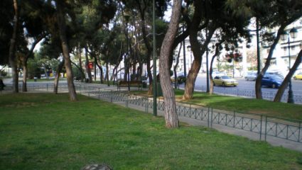Σαν σήμερα: Το Άλσος της μιας Νυκτός Σαν σήμερα: Το Άλσος της μιας Νυκτός