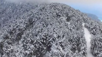 Το έστρωσε στην Κεφαλονιά- Εντυπωσιακό βίντεο από drone Το έστρωσε στην Κεφαλονιά- Εντυπωσιακό βίντεο από drone
