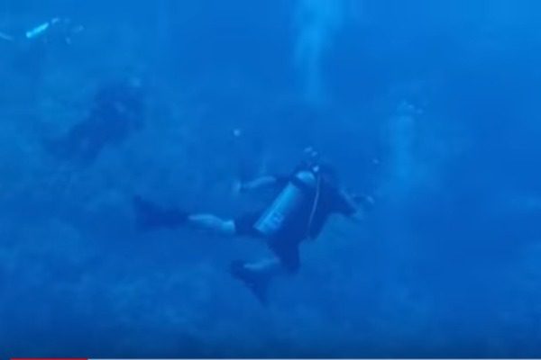 Σοκαριστικό βίντεο: Δύτης στα σαγόνια του καρχαρία