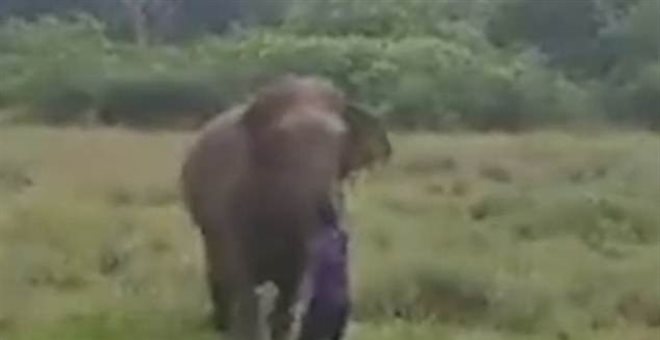 Βίντεο σοκ: Ελέφαντας ποδοπατά άνδρα μέχρι θανάτου - Σκληρές εικόνες