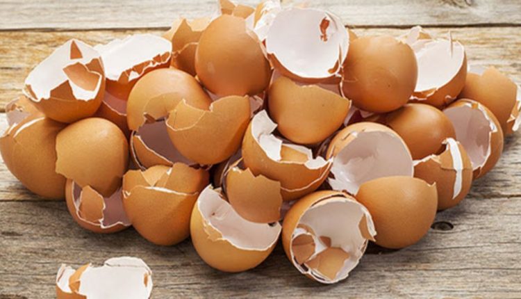Γιατί δεν πρέπει να πετάτε τα τσόφλια των αυγών