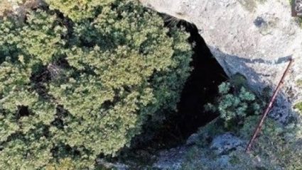 Η φωλιά με τους πάνθηρες μόλις 45 λεπτά από το κέντρο της Αθήνας (ΒΙΝΤΕΟ) Η φωλιά με τους πάνθηρες μόλις 45 λεπτά από το κέντρο της Αθήνας (ΒΙΝΤΕΟ)