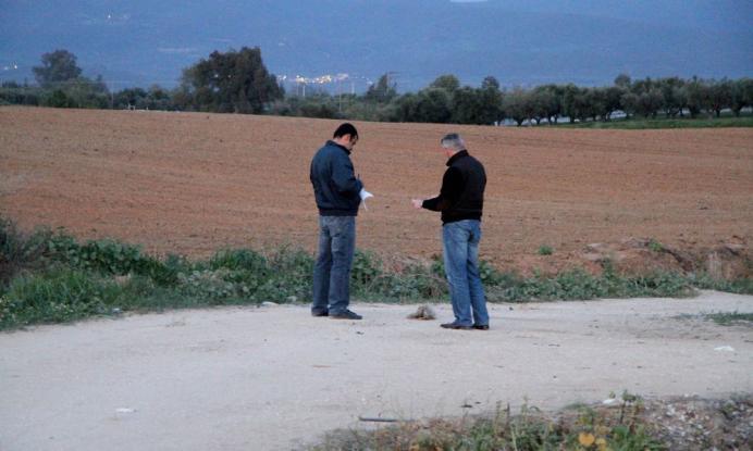 Εισαγγελική παρέμβαση για τη Μανωλάδα: 355 αδήλωτοι αλλοδαποί στα φραουλοχώραφα