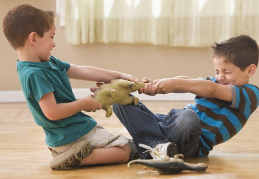 Τα παιδιά με πολλά αδέλφια πέφτουν πιο συχνά θύματα bullying μέσα στην οικογένεια