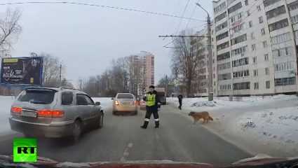 Viral φιλόζωος τροχονόμος – ΒΙΝΤΕΟ Viral φιλόζωος τροχονόμος – ΒΙΝΤΕΟ