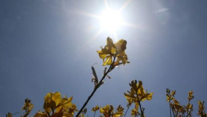 Ήλιος αλλά και βροχές παραμονή των εκλογών Ήλιος αλλά και βροχές παραμονή των εκλογών