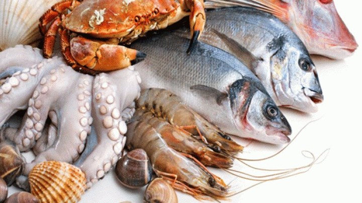 Γιατί πρέπει να τρώμε θαλασσινά - Ποια είδη κάνουν καλό στην υγεία μας