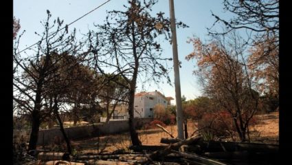 Στη φυλακή όσοι καταδικαστούν για ανθρωποκτονία από αμέλεια στο Μάτι Στη φυλακή όσοι καταδικαστούν για ανθρωποκτονία από αμέλεια στο Μάτι