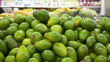 Oι ΗΠΑ θα ξεμείνουν από αβοκάντο σε τρεις εβδομάδες αν ο Τραμπ κλείσει τα σύνορα με το Μεξικό Oι ΗΠΑ θα ξεμείνουν από αβοκάντο σε τρεις εβδομάδες αν ο Τραμπ κλείσει τα σύνορα με το Μεξικό
