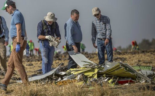 Πιθανόν ένα πουλί κατέστρεψε τον αισθητήρα του Boeing της Ethiopean Airlines