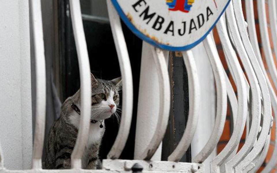 Ασφαλής ο γάτος του Ασάνζ επισημαίνει το WikiLeaks (ΒΙΝΤΕΟ)