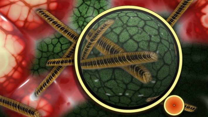 Παγκόσμια ανησυχία: Επικίνδυνο μικρόβιο στέλνει στο νοσοκομείο χιλιάδες ανθρώπους Παγκόσμια ανησυχία: Επικίνδυνο μικρόβιο στέλνει στο νοσοκομείο χιλιάδες ανθρώπους