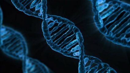 Ανοίγει το «μαύρο κουτί» του καρκίνου – Για πρώτη φορά θα βρεθεί η ακριβής αιτία κάθε όγκου Ανοίγει το «μαύρο κουτί» του καρκίνου – Για πρώτη φορά θα βρεθεί η ακριβής αιτία κάθε όγκου
