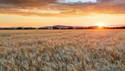 Καλοκαιρινός ο καιρός και τη Δευτέρα του Πάσχα – Με ζέστη και ήλιο Καλοκαιρινός ο καιρός και τη Δευτέρα του Πάσχα – Με ζέστη και ήλιο