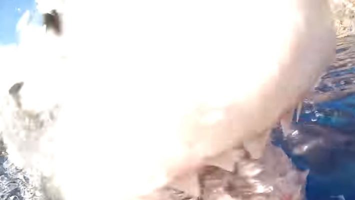 Το δάγκωμα ενός λευκού καρχαρία σε κοντινό πλάνο! - ΒΙΝΤΕΟ Το δάγκωμα ενός λευκού καρχαρία σε κοντινό πλάνο! - ΒΙΝΤΕΟ