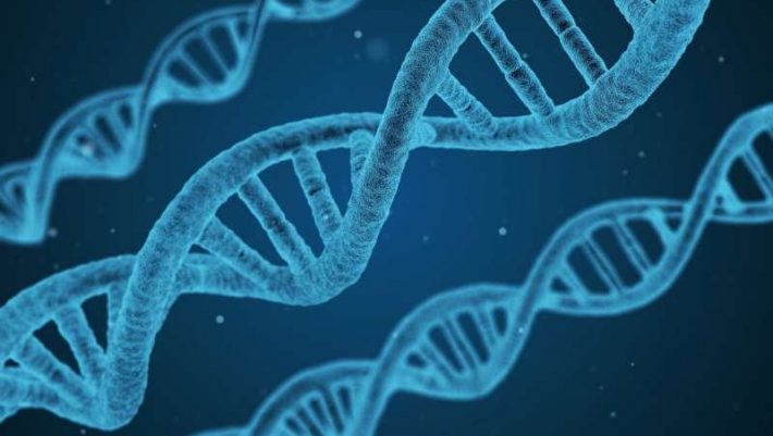 Κρύβονται τελικά οι ασθένειες στο DNA μας; Κρύβονται τελικά οι ασθένειες στο DNA μας;
