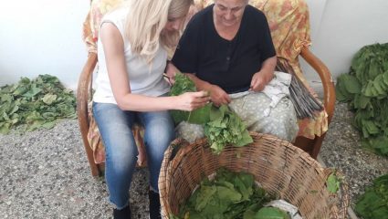 Η Φωτεινή Αραμπατζή … «μπουρλιάζει» καπνό Η Φωτεινή Αραμπατζή … «μπουρλιάζει» καπνό