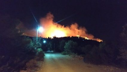 Φωτιά στη Νέα Μάκρη: Δεν κινδυνεύει κατοικημένη περιοχή Φωτιά στη Νέα Μάκρη: Δεν κινδυνεύει κατοικημένη περιοχή
