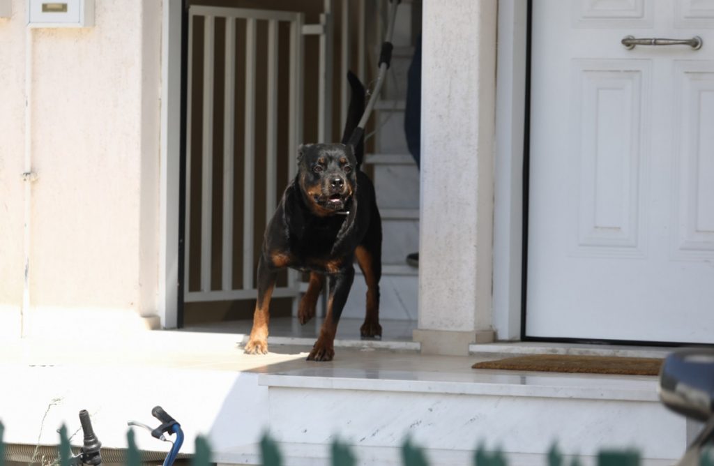 Nέα δεδομένα στην υπόθεση με το Ροτβάιλερ - Τι αποκάλυψε ο πατέρας του νεκρού βρέφους