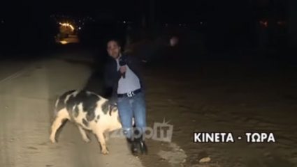 Κλάμα: Γουρούνι κυνηγάει on air ρεπόρτερ του Παπαδάκη! – ΒΙΝΤΕΟ Κλάμα: Γουρούνι κυνηγάει on air ρεπόρτερ του Παπαδάκη! – ΒΙΝΤΕΟ
