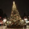 Έγειρε το δέντρο στο Σύνταγμα! Έγειρε το δέντρο στο Σύνταγμα!