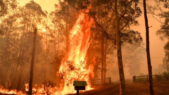 Ραγίζει καρδιές: Η φώτο με το διψασμένο καγκουρό στην Αυστραλία που έγινε viral Ραγίζει καρδιές: Η φώτο με το διψασμένο καγκουρό στην Αυστραλία που έγινε viral