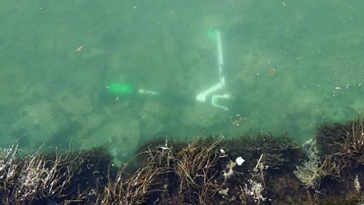 Φωτό μέσα απ’ τη θάλασσα: Δείτε πόσα ηλεκτρικά πατίνια βρίσκονται στον πάτο του Θερμαϊκού (Pics) Φωτό μέσα απ’ τη θάλασσα: Δείτε πόσα ηλεκτρικά πατίνια βρίσκονται στον πάτο του Θερμαϊκού (Pics)
