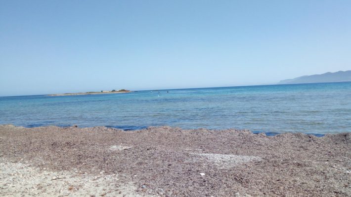 Απίστευτο κι όμως ελληνικό: Συνελήφθη επειδή... καθάριζε τα φύκια από παραλία