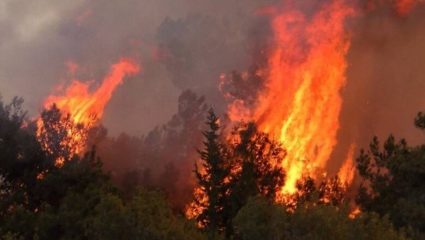 Καταστροφική φωτιά στην Κύπρο: Αυτή η φωτογραφία «πάγωσε» το ίντερνετ Καταστροφική φωτιά στην Κύπρο: Αυτή η φωτογραφία «πάγωσε» το ίντερνετ