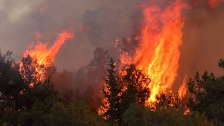 Καταστροφική φωτιά στην Κύπρο: Αυτή η φωτογραφία «πάγωσε» το ίντερνετ