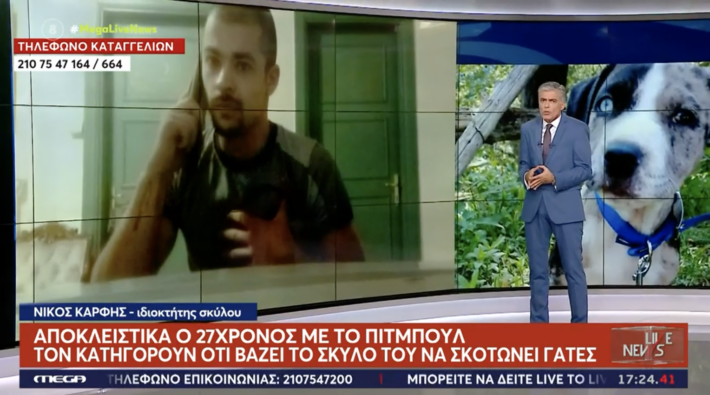 «Μια φορά σκότωσε, τις άλλες τις βρήκε ψόφιες»: Προκαλεί ο 27χρονος δράστης που βάζει τον σκύλο του να σκοτώνει γάτες σε Βύρωνα και Καισαριανή (Vid)