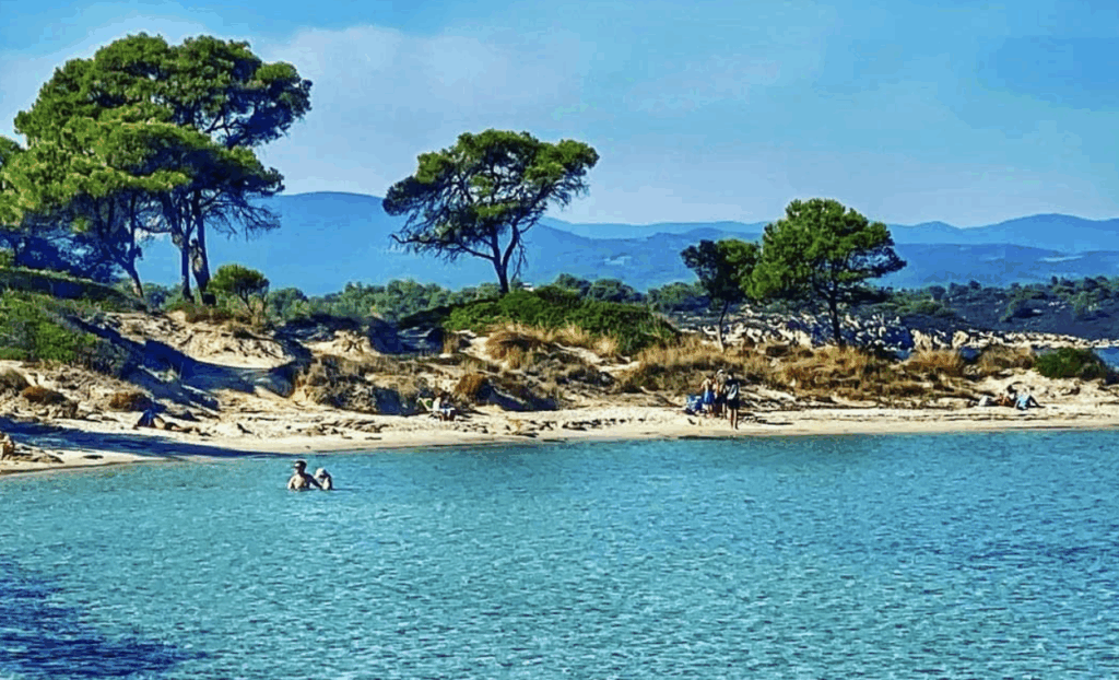 Καταλάβατε τώρα τι δείχνει αυτό που γίνεται φέτος στη Χαλκιδική;