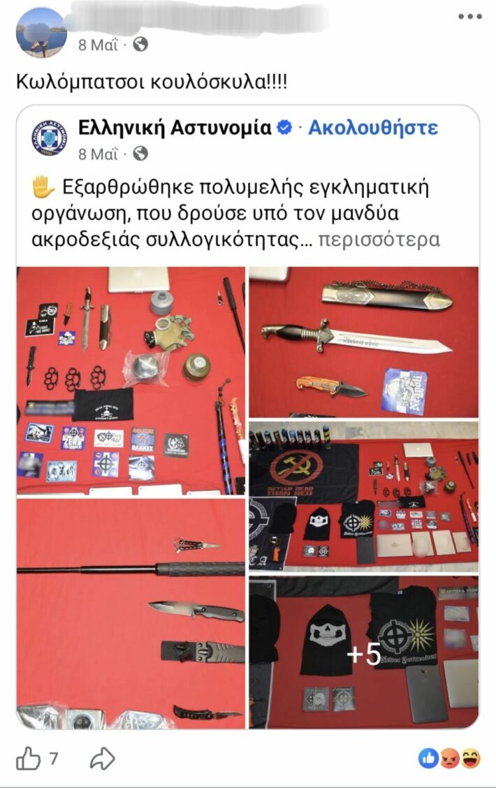 «Έσκουξε ο λύκος μέσα στη νυχτιά»: Οι αναρτήσεις της 46χρονης από τη Σαλαμίνα που δείχνουν τον θαυμασμό της στον Μιχαλολιάκο της Χρυσής Αυγής