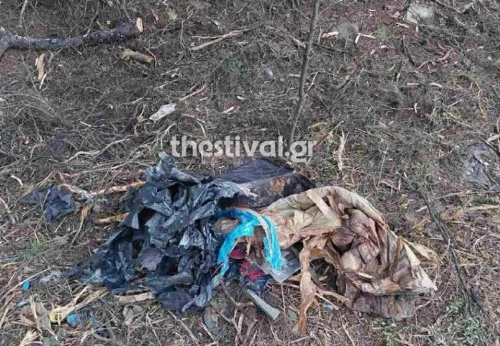 Θρίλερ με τη σορό που εντοπίστηκε σε βαλίτσα στο Παλιούρι Χαλκιδικής: «Ήταν χωρίς κεφάλι, είδα ένα χέρι με ένα δαχτυλίδι»